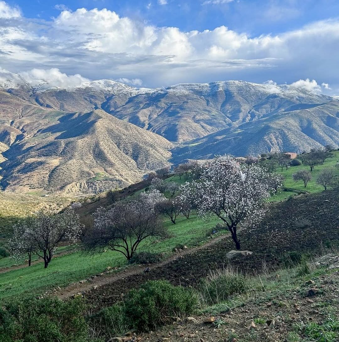 Northern Morocco Geology Tour