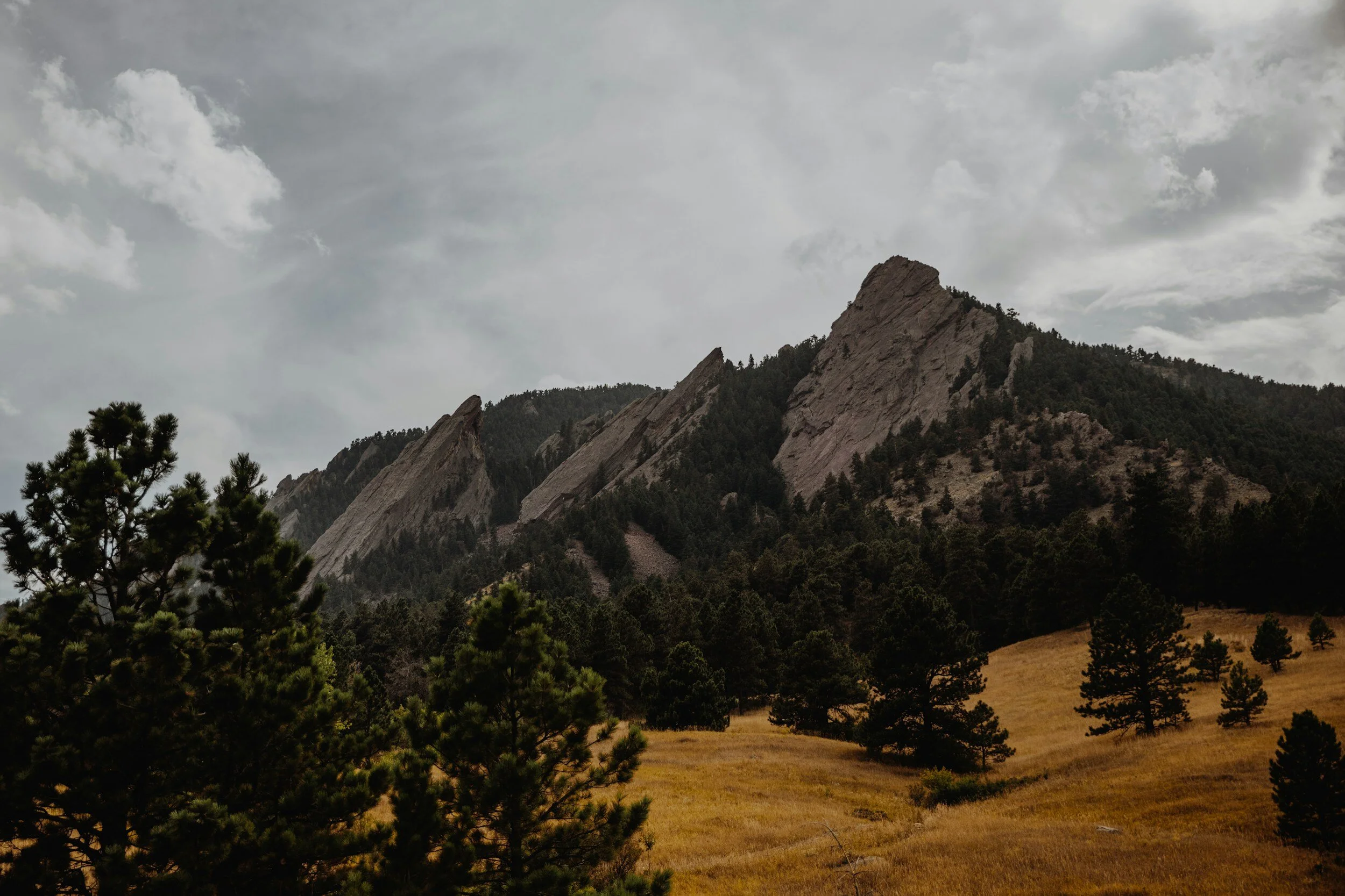 The image shows a mountainous landscape with large rocky peaks, surrounded by dense evergreen trees, and a grassy hillside in the foreground under a cloudy sky.