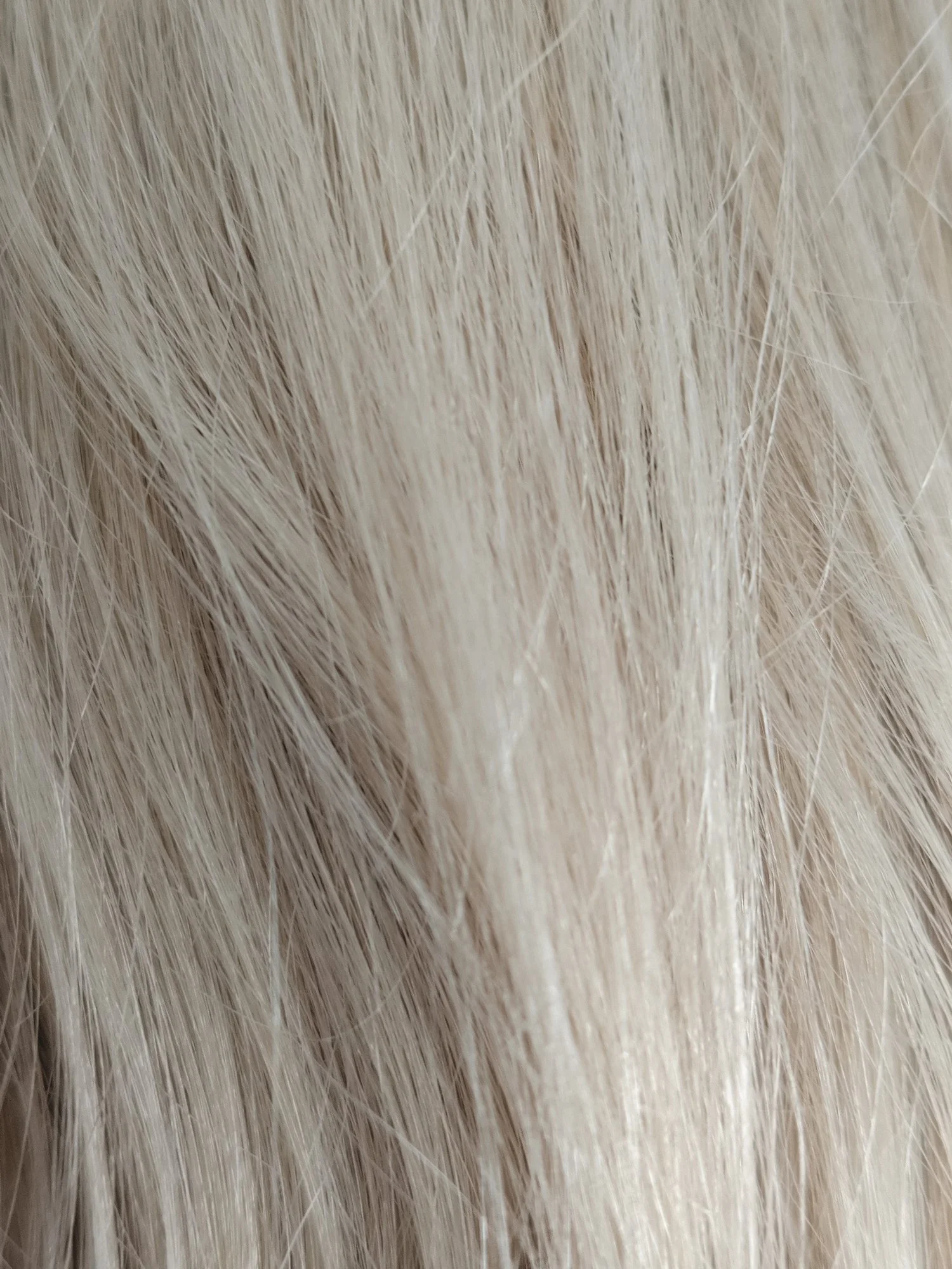 Understanding Why Hair Turns Gray: A Journey into the Science of Aging