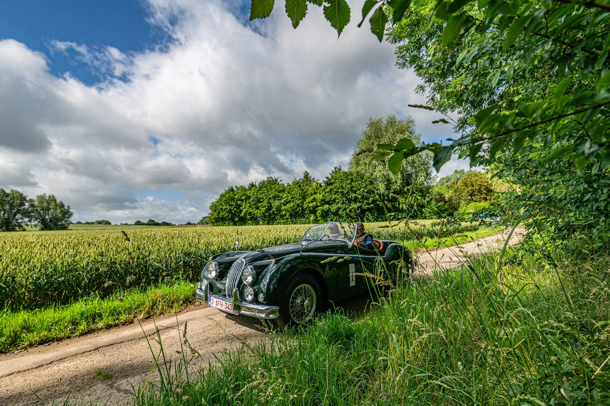 RALLYDUCOTTAGE26_DSC_4024.jpg