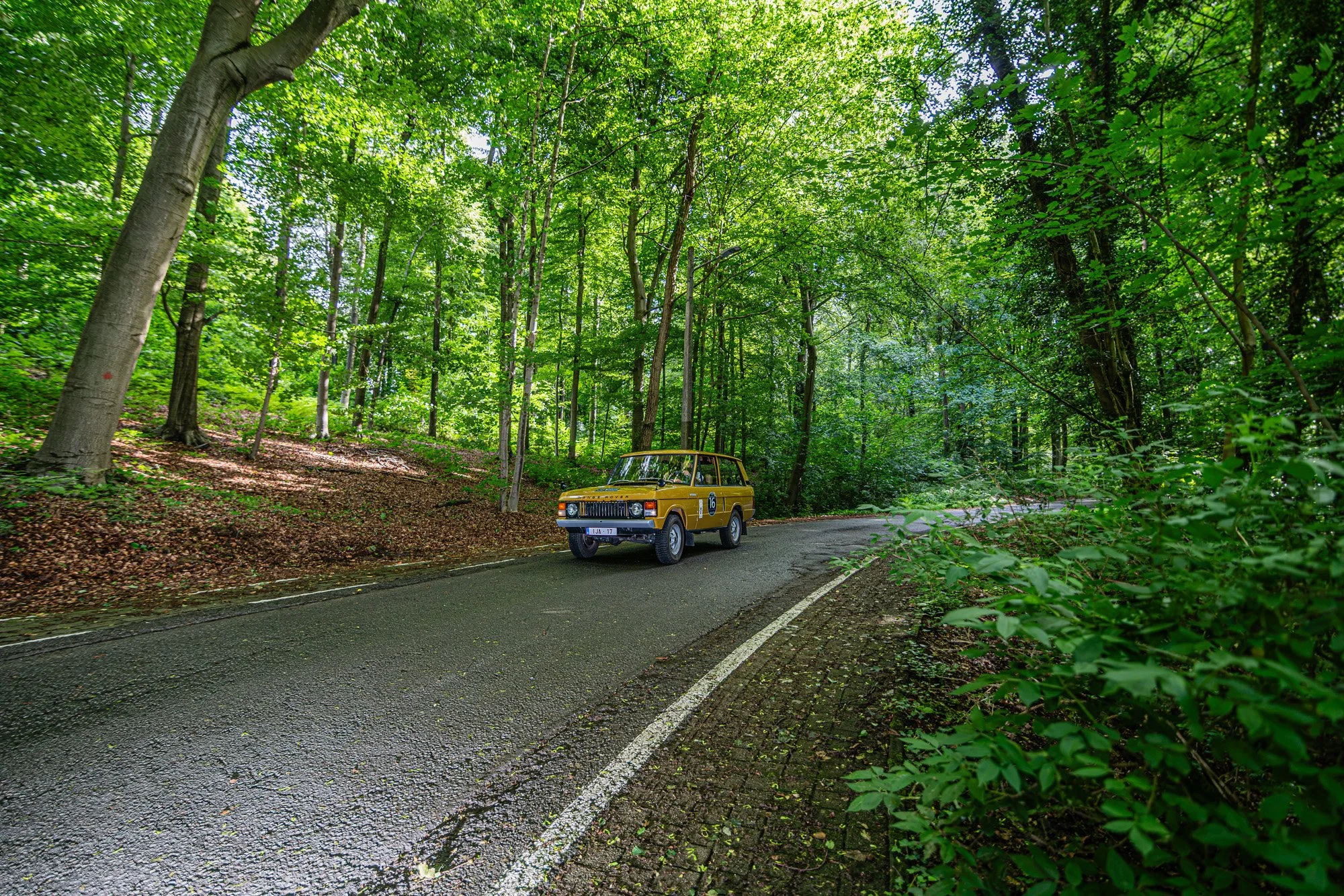 RALLYDUCOTTAGE26_DSC_4001.jpg