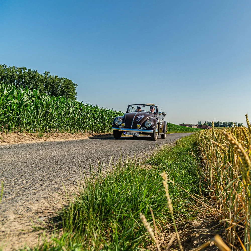RallyDuCOTTAGE25_RD4_6901.jpg