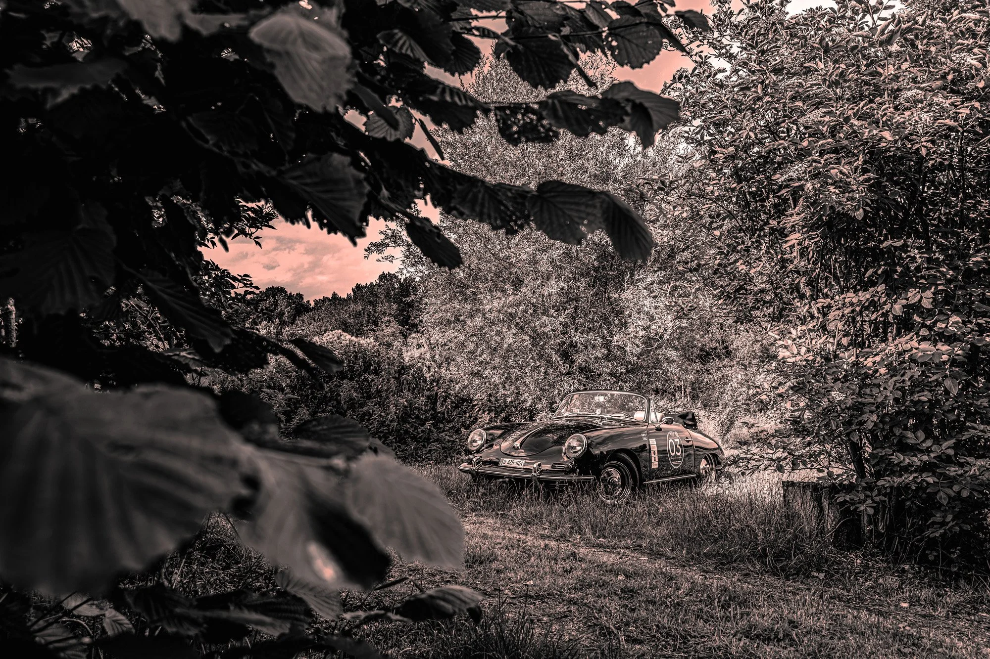 RALLYDUCOTTAGE26_DSC_4231.jpg