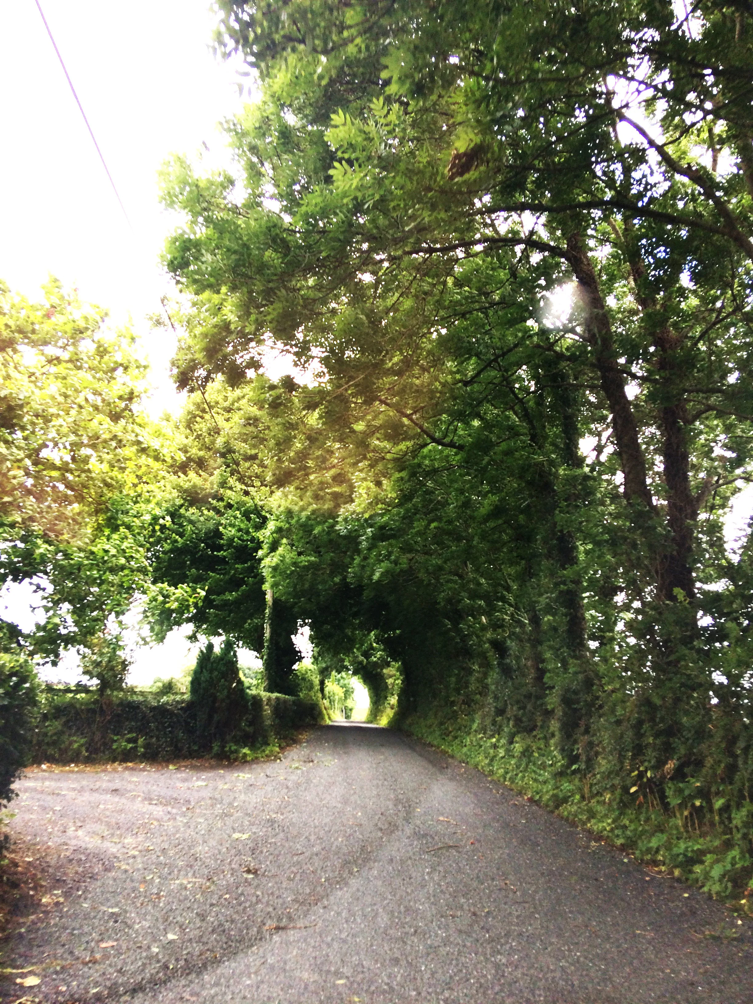 Route sinueuse