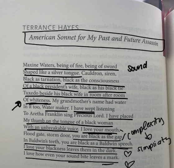 re: terrance hayes’ “american sonnet for my past and future assassin”