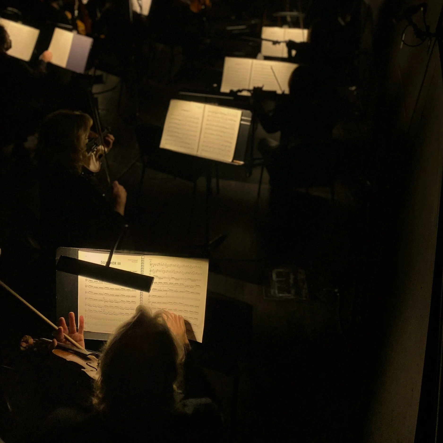 Orchestra members playing violins with sheet music on stands in a dimly lit concert hall.