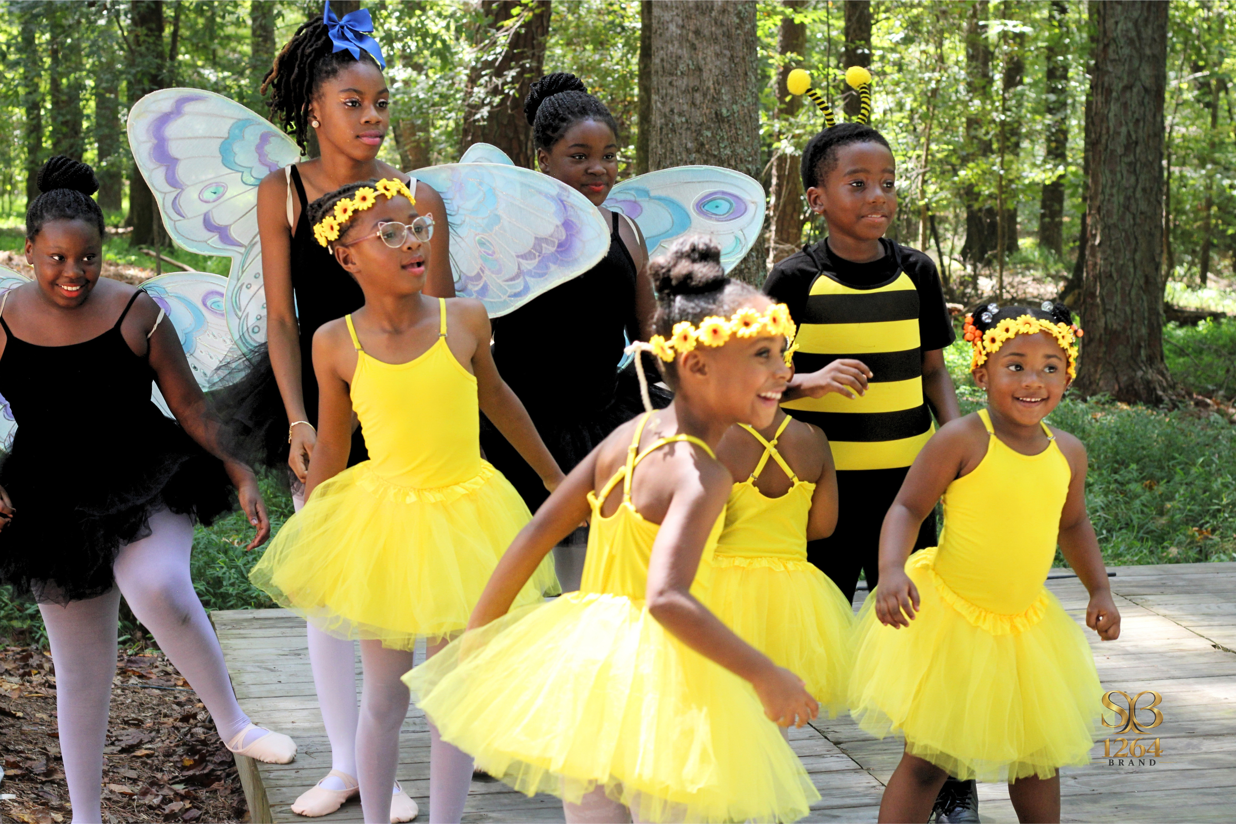 YELLOW DAISY FESTIVAL