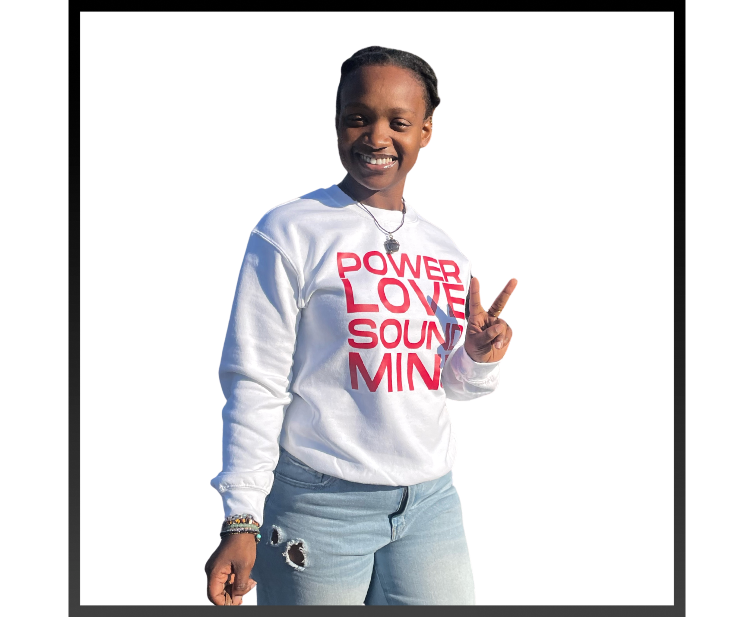 plsm ss (1100 x 900 px).png