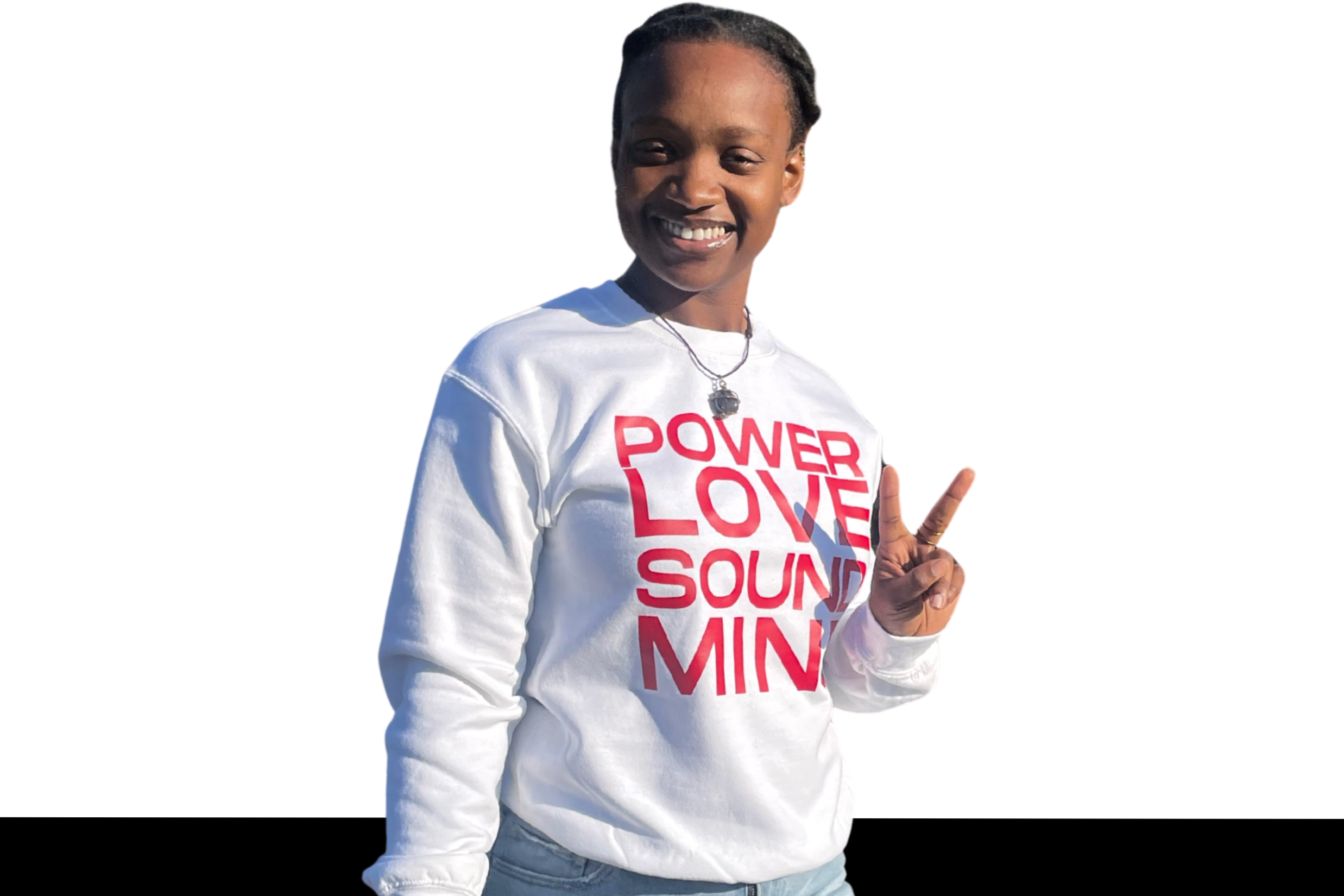 plsm ss (1100 x 900 px)next.png