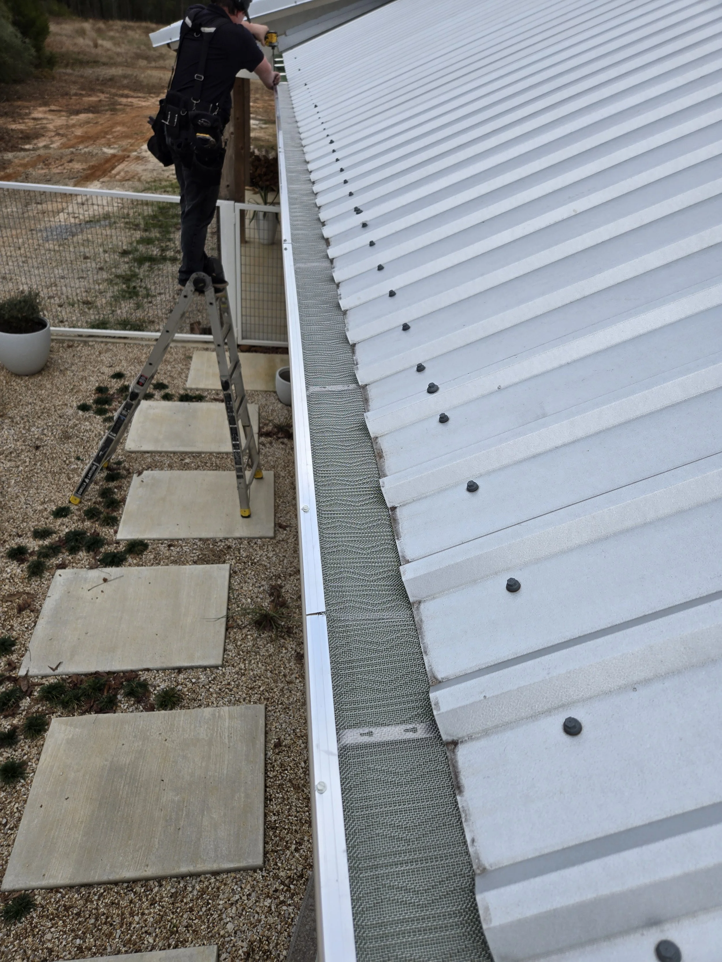 Leaf Blaster Pro Leaf Guard in Henderson Texas