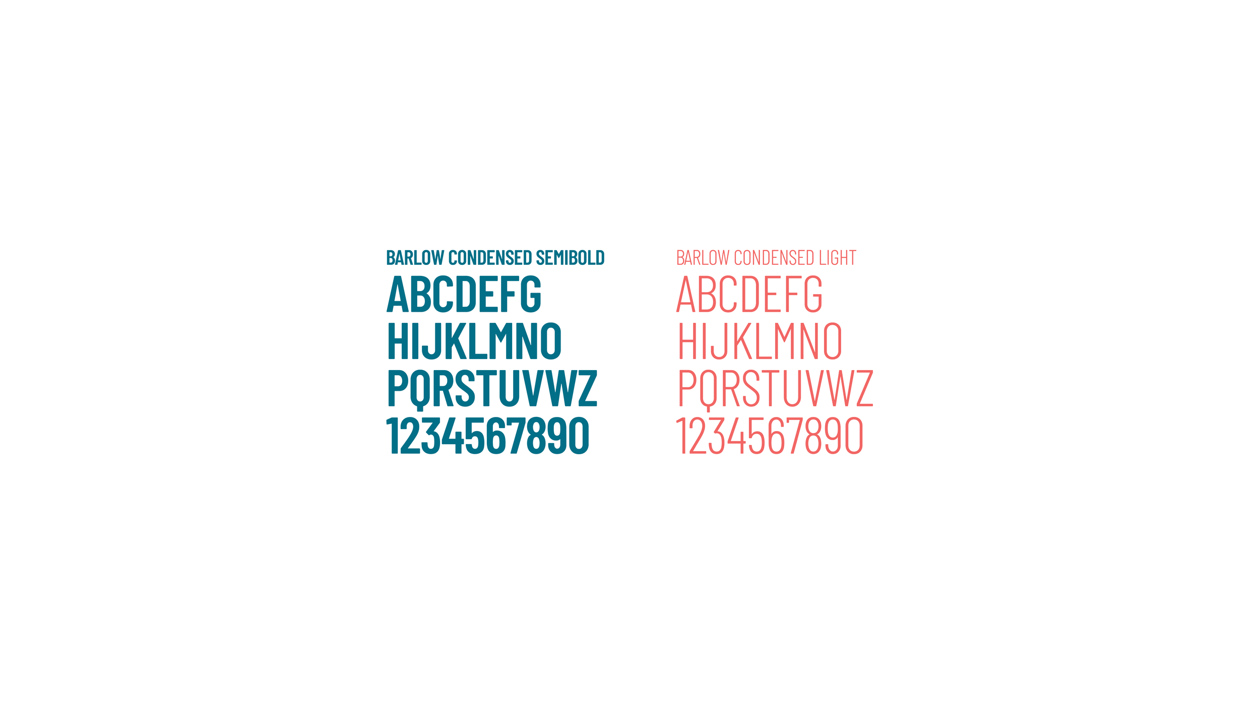 CC4C CASE STUDY 05.png