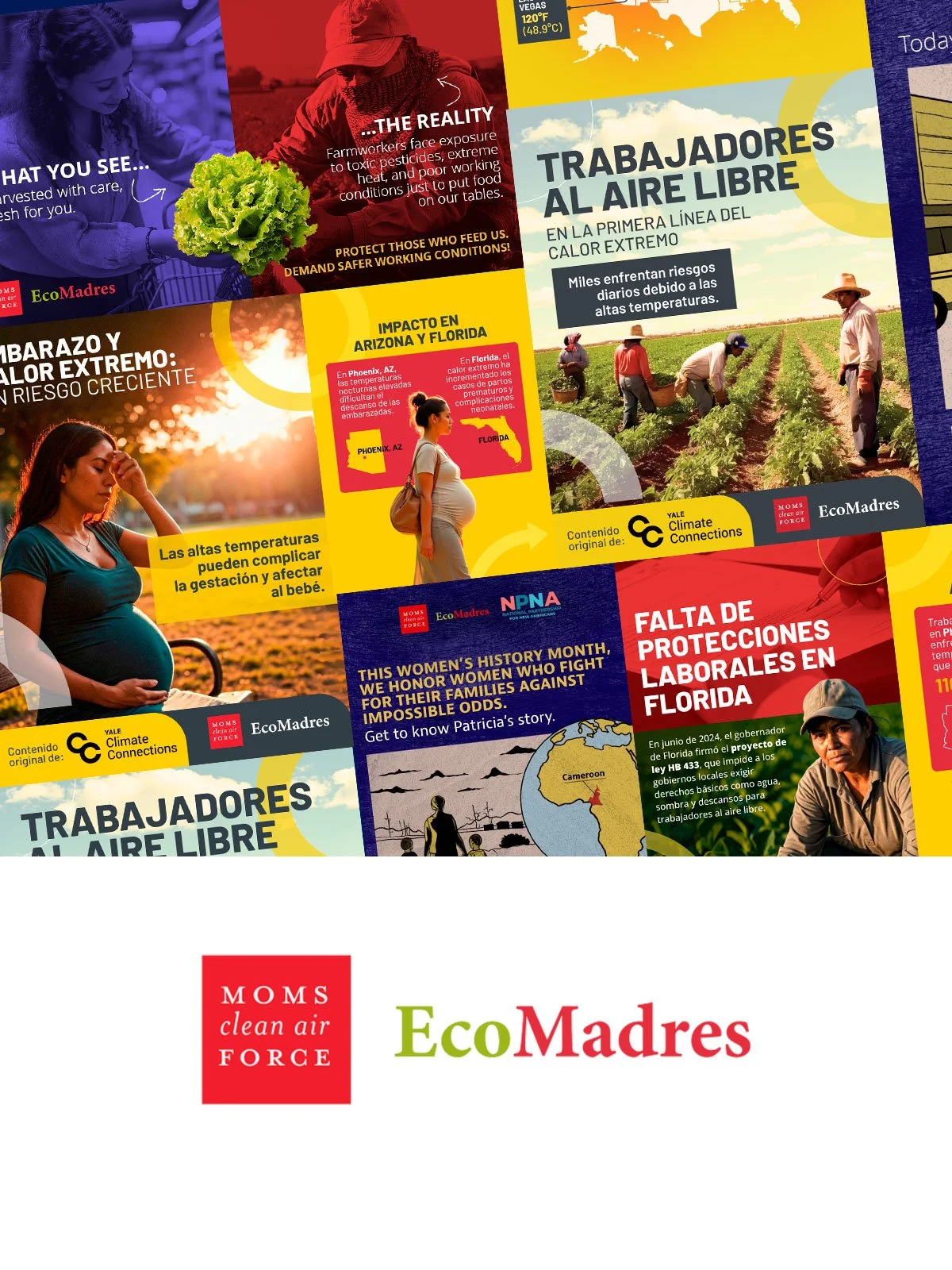 ECOMADRES SOCIAL MEDIA CONTENT