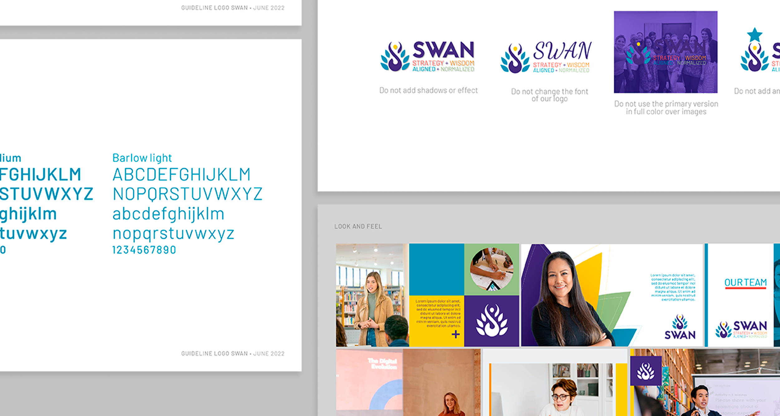 Brandguideline_swan_03.png