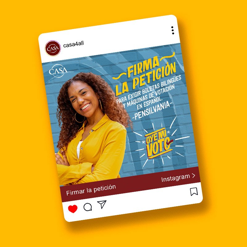 Instagram petición.jpg