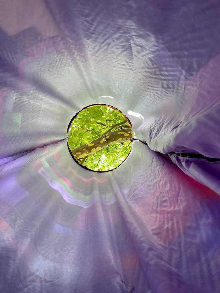 Looking up from the inside of the Tree Chuang project