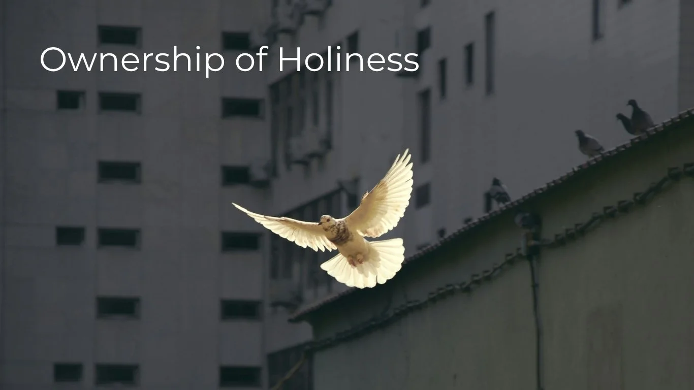 Ownership of Holiness