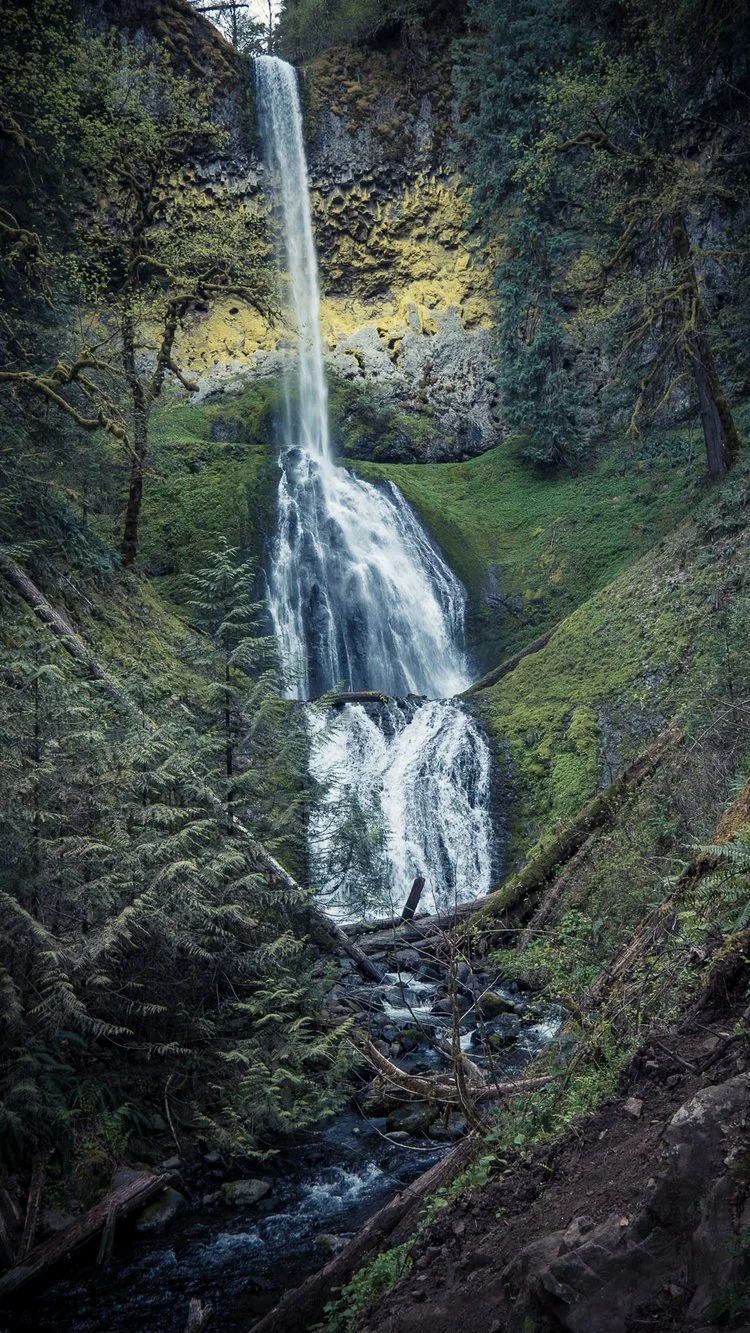 Clackamas River Trail to Pup Creek Falls
