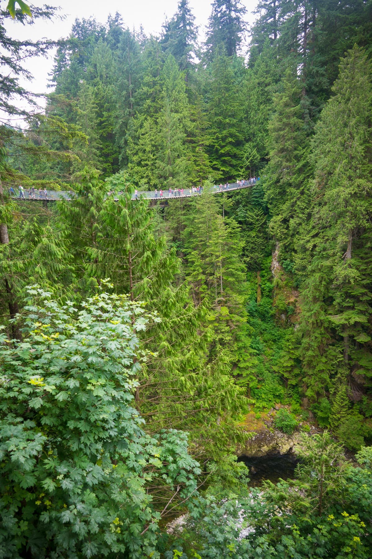 07-vancouvercapilano-29.jpeg