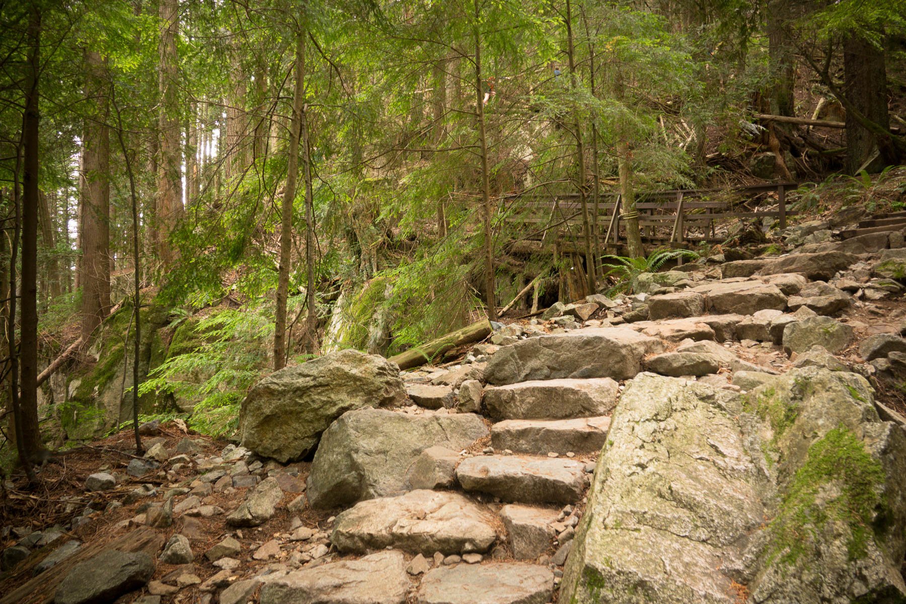 07-grousegrind-4.jpeg