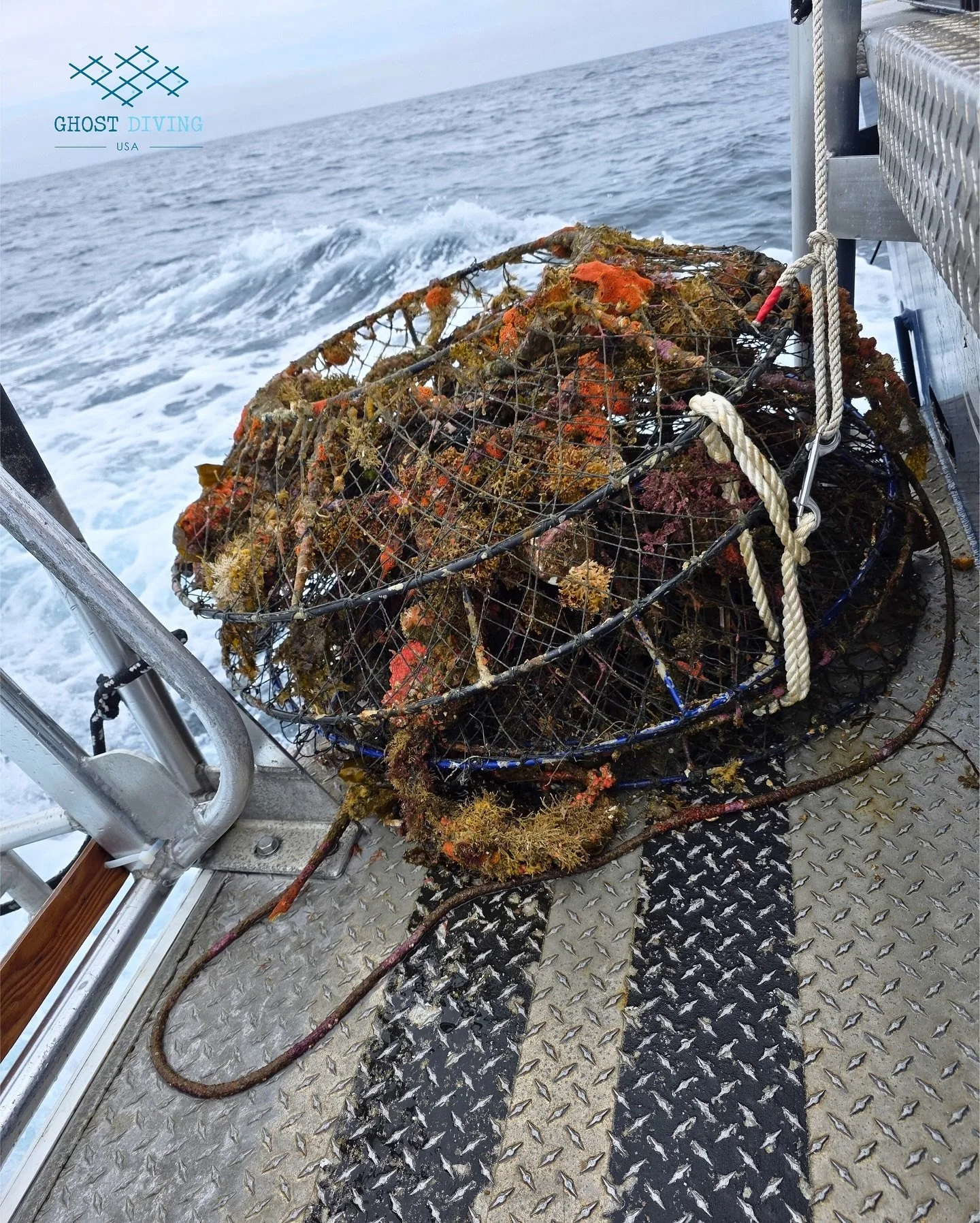 One mission. Countless traps. 💔 These lobster pots were never meant to be on the ocean floor, but that’s exactly where we found them.
Our team pulled them out on September 22 at Arrow Point, preventing more entanglement and damage to marine l