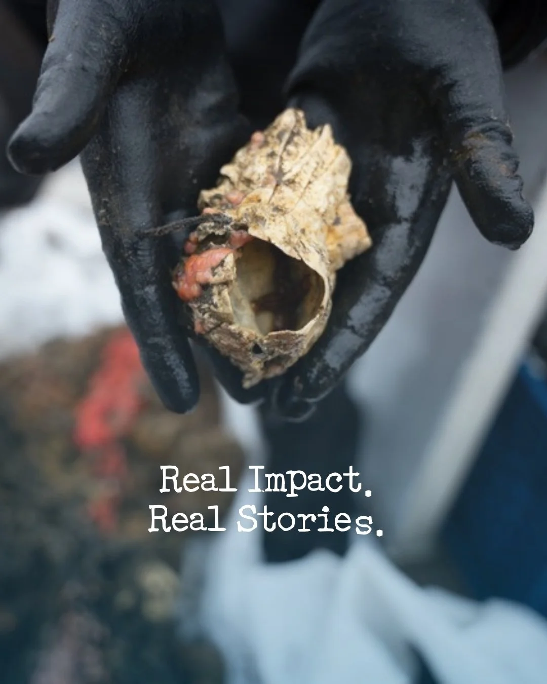 We spend a lot of time underwater&hellip; but there&rsquo;s so much happening on the surface too. New missions, surprising finds, moments that stay with us long after the gear is off.

If you want to follow along with what we&rsquo;re doing and why w