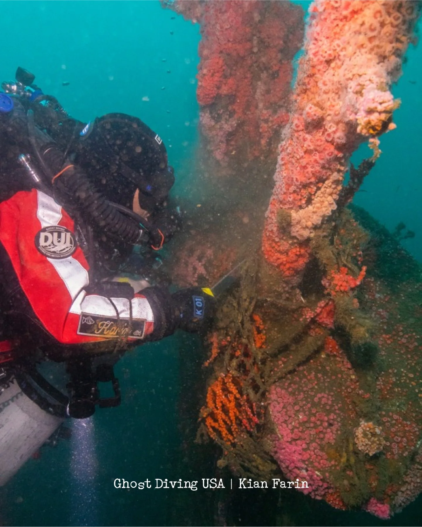 𝗕𝗲𝗳𝗼𝗿𝗲 𝗮𝗻𝗱 𝗮𝗳𝘁𝗲𝗿 𝗮𝘁 𝘁𝗵𝗲 𝗝𝗲𝗻𝗻𝘆 𝗟𝘆𝗻𝗻𝗲 𝘄𝗿𝗲𝗰𝗸 (𝟮𝟬𝟮𝟯)

In the first shot, our volunteer diver Karim Hamza secures lift bags to the ghost nets tangled across the site.
In the second, those nets rise into mid-water, one