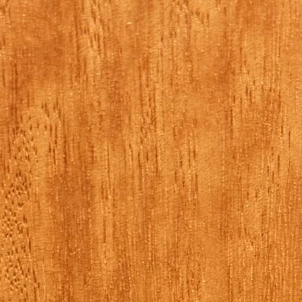 eucalyptus_swatch.jpg