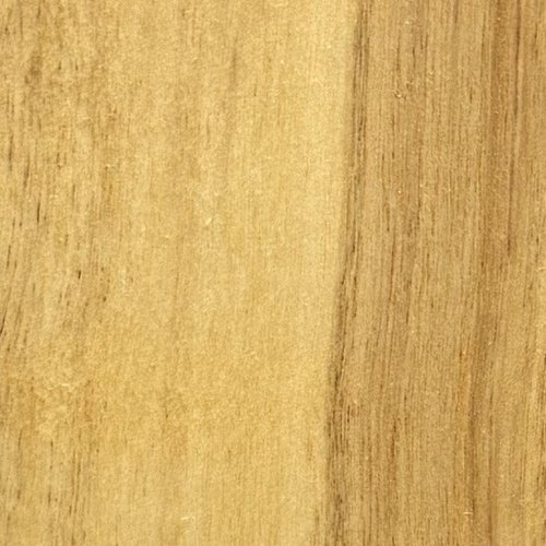 Heartwood color detail of Cypress (Taxodium distichum)