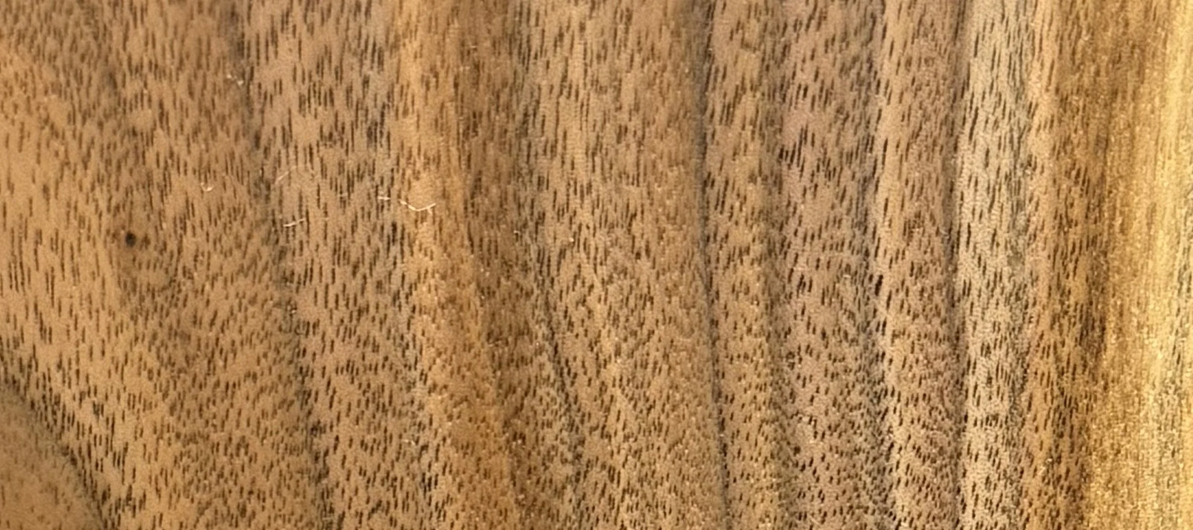 walnut_strip.jpg