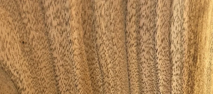 Detail of Walnut grain — figured wood texture, photographed at Raw Heartwood