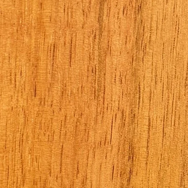 lychee_swatch.jpg