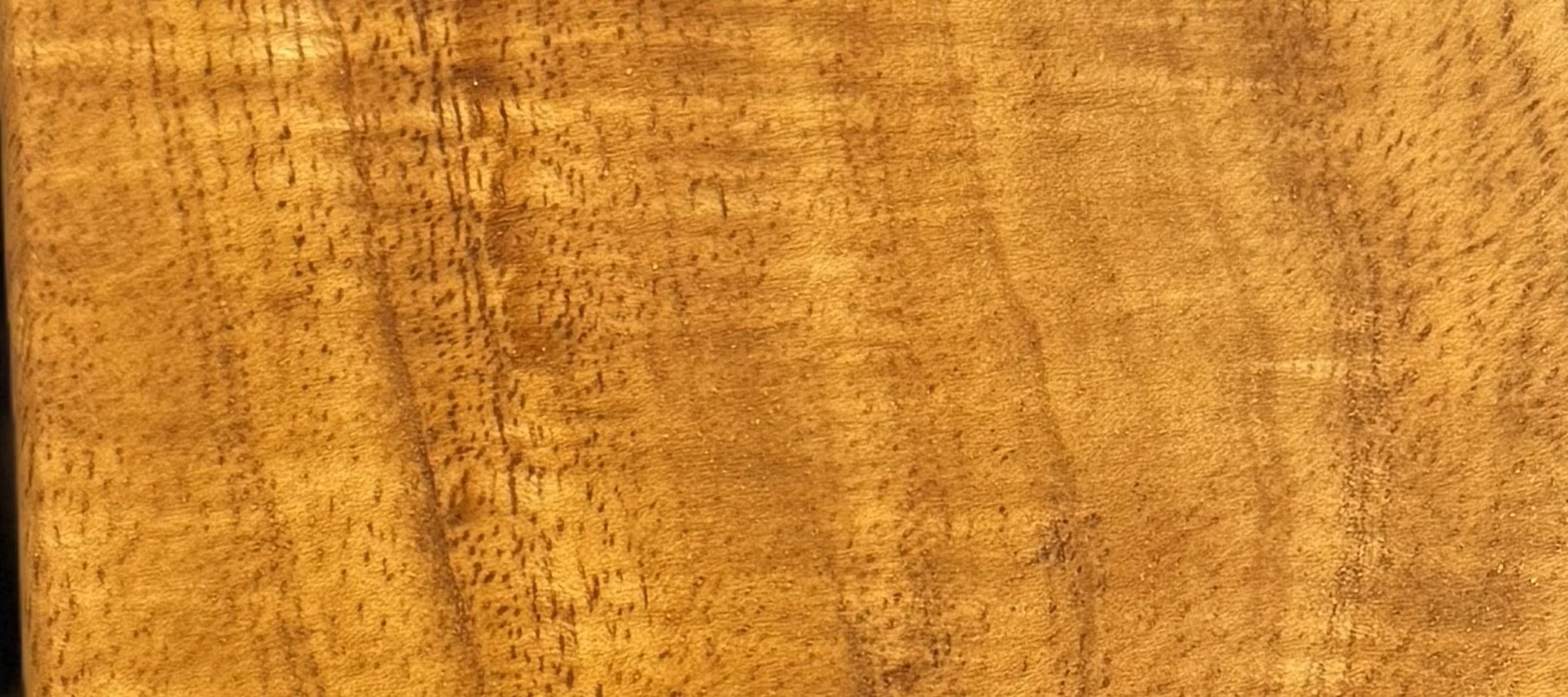 koa_strip.jpg