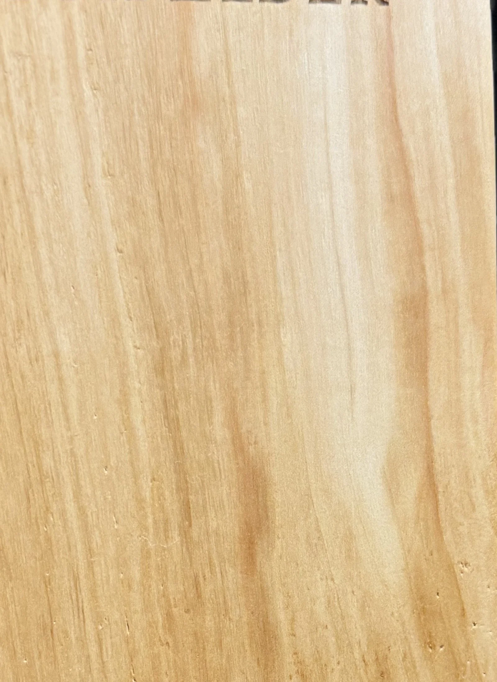 box-elder_detail.jpg