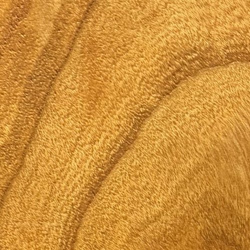 Heartwood color detail of Cherry (Prunus serotina)