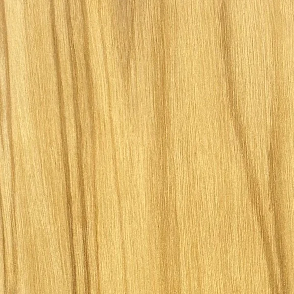 olive_swatch.jpg