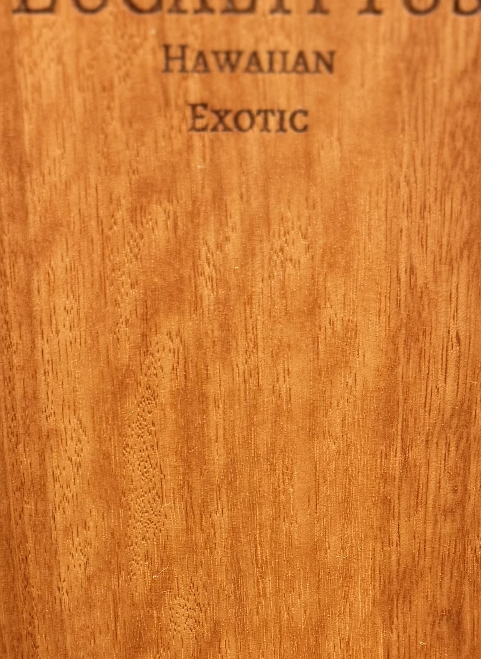 eucalyptus_detail.jpg