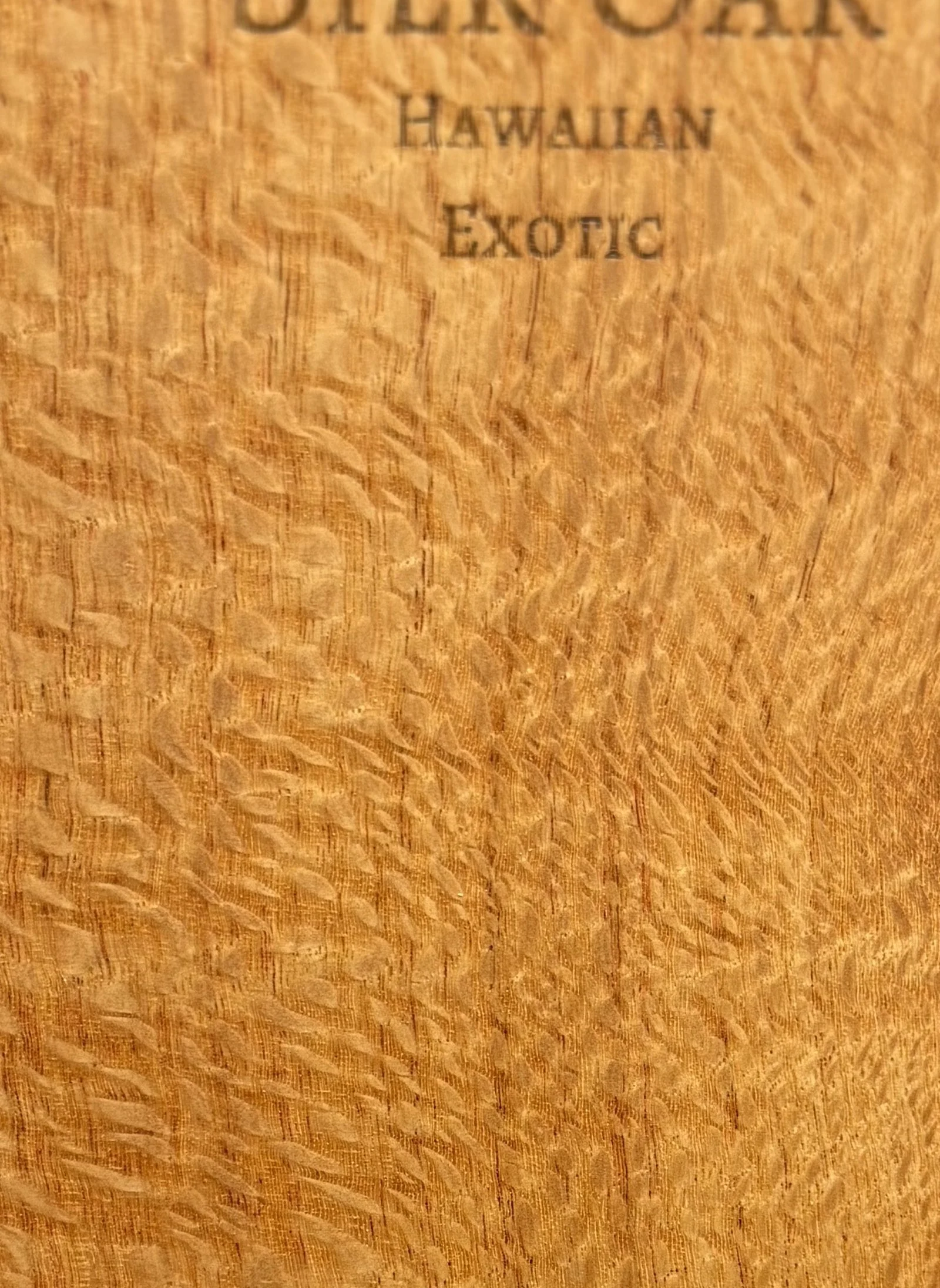 silk-oak_detail.jpg