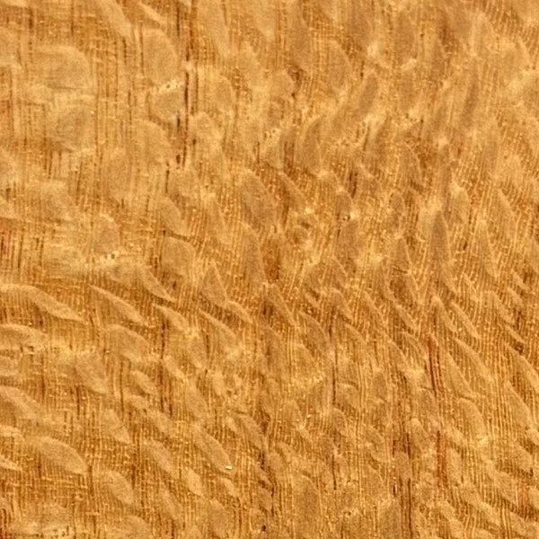 silk-oak_swatch.jpg