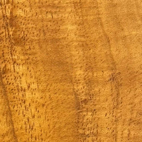 koa_swatch.jpg
