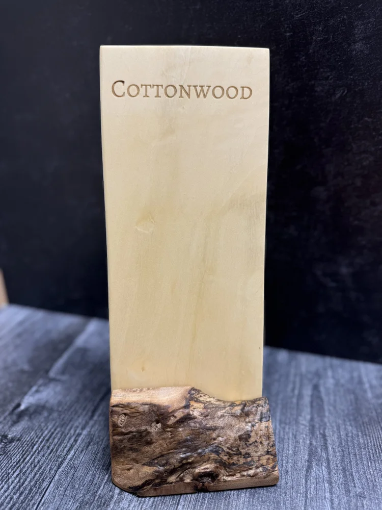 Cottonwood specimen — Populus deltoides, photographed at Raw Heartwood