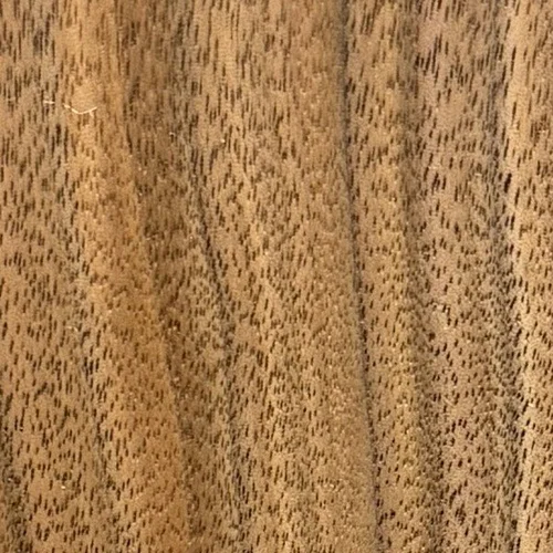Heartwood color detail of Walnut (Juglans nigra)