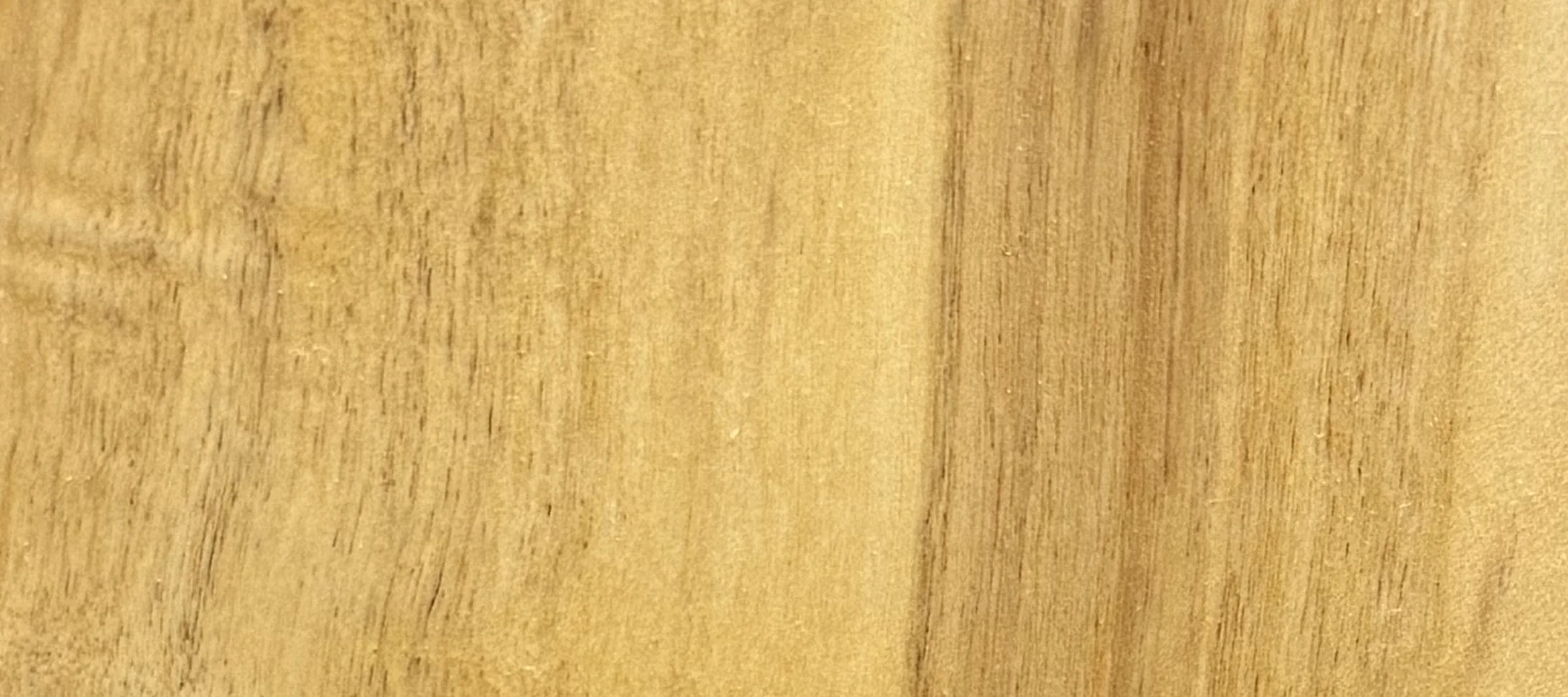 cypress_strip.jpg