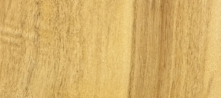 Detail of Cypress grain — figured wood texture, photographed at Raw Heartwood