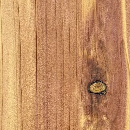 Heartwood color detail of Eastern Red Cedar (Juniperus virginiana)