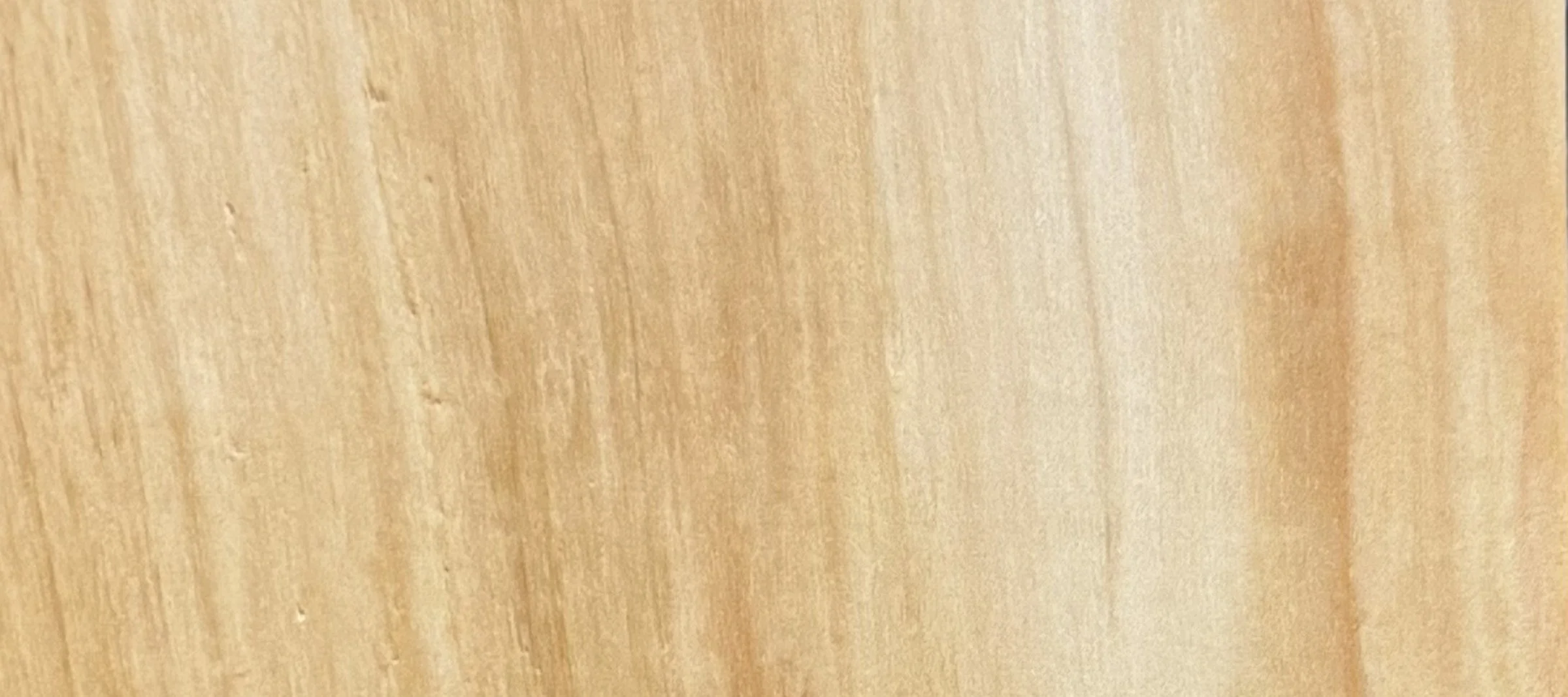 box-elder_strip.jpg