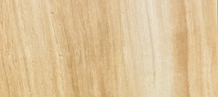 Detail of Box Elder grain — figured wood texture, photographed at Raw Heartwood
