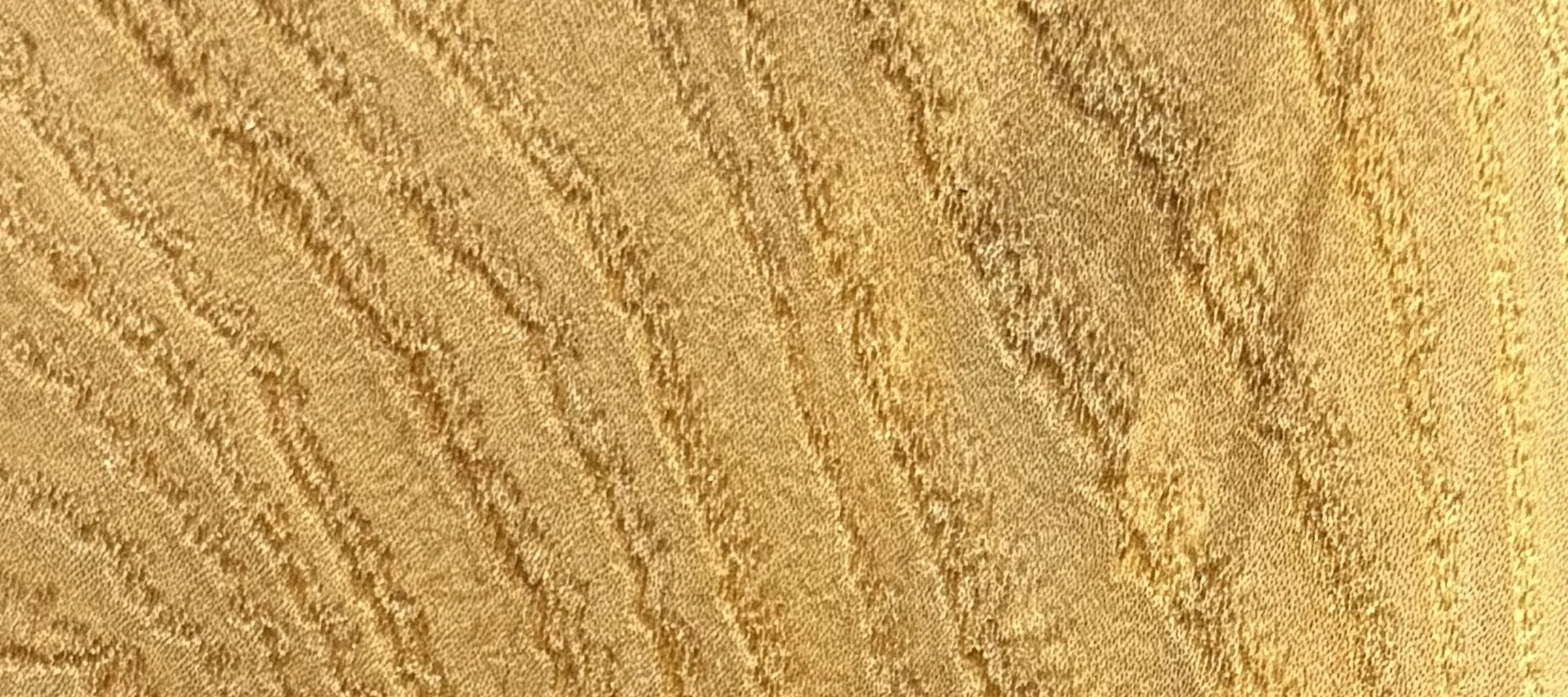 american-elm_strip.jpg