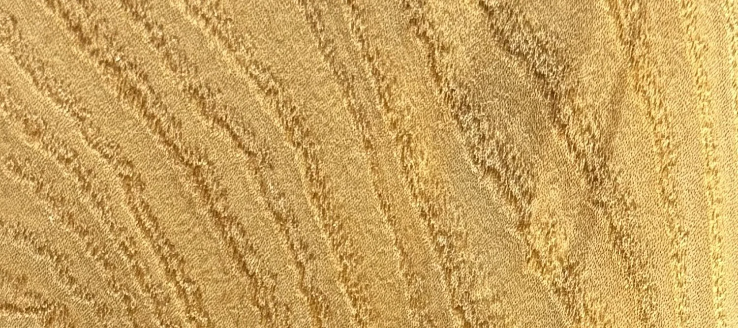 Detail of American Elm grain — figured wood texture, photographed at Raw Heartwood