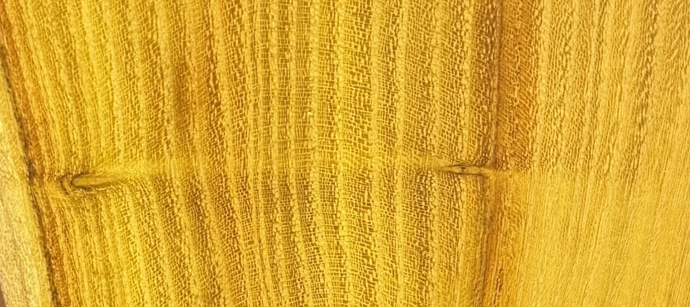 osage-orange_strip.jpg
