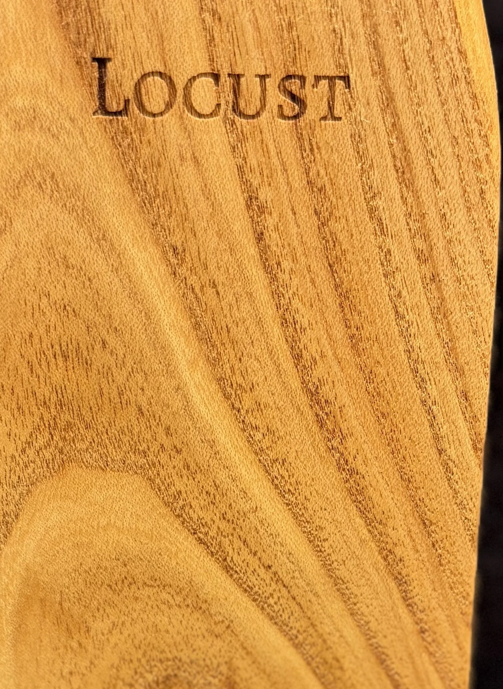 honey-locust_detail.jpg
